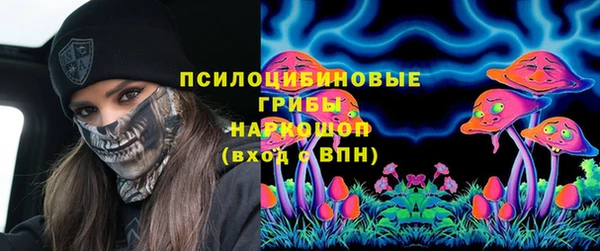 ГАЛЛЮЦИНОГЕННЫЕ ГРИБЫ Верхний Тагил