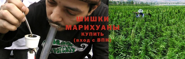 ГАЛЛЮЦИНОГЕННЫЕ ГРИБЫ Верхний Тагил