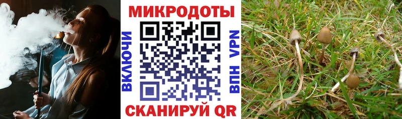 Псилоцибиновые грибы мицелий  Верхняя Пышма 